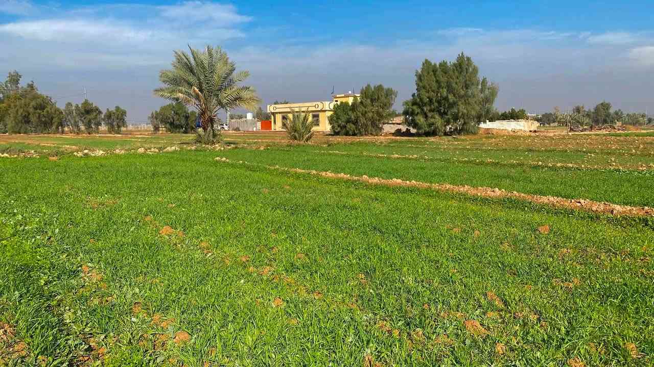 دونمين ونص للبيع بغداد تقاطع النهروان قرية الفرسان مكان هادء وارض خصبة وسعر بلااااش 
متوفر ماء سقي كهرباء سحب ماء اسالة سعرهن شلع 110 وبيهن مجال 
يرهمن دار استراحة او سكن او زراعة او استثمار 
*********** متوفر واتساب واتصال مباشر
