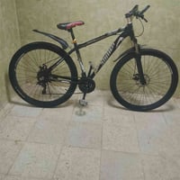 بايسكل • المنيوم • حجم ٢٩