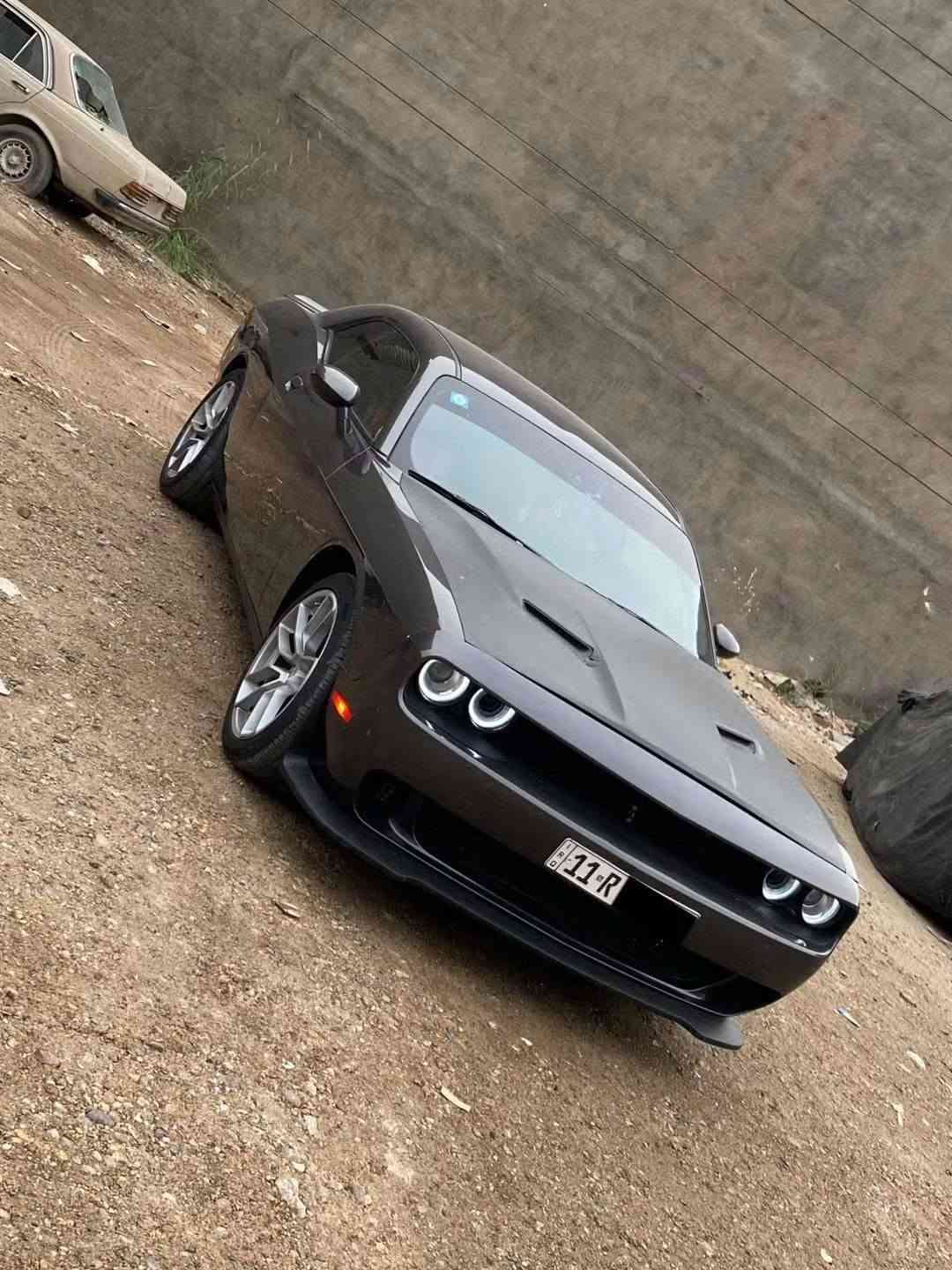 جالنجر SXT • ٣٦٠٠ • ٩٣ الف