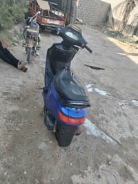فراشة فحل • ابو الخصيب • كامله