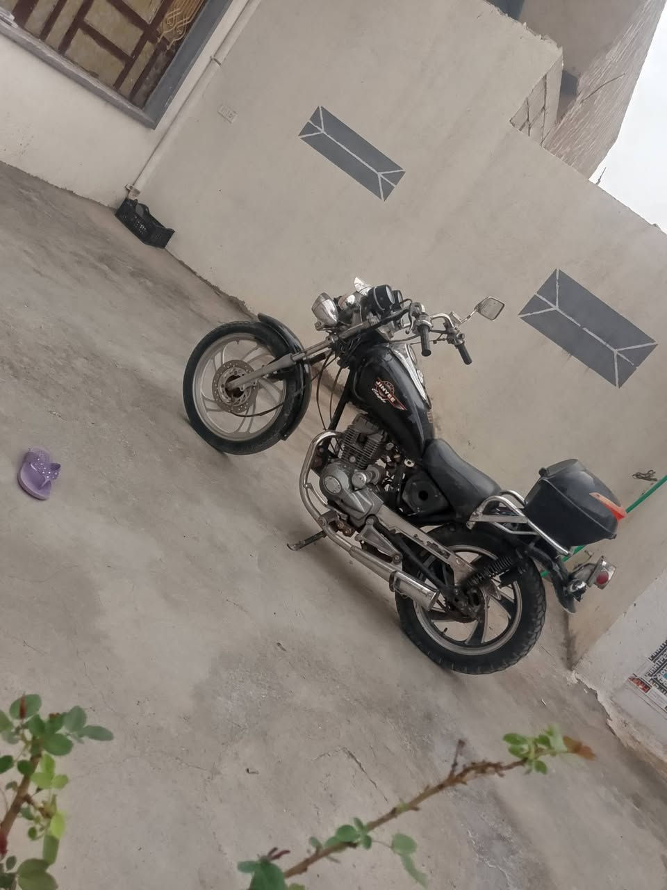 هارلي • نضيفه • بدون اوراق