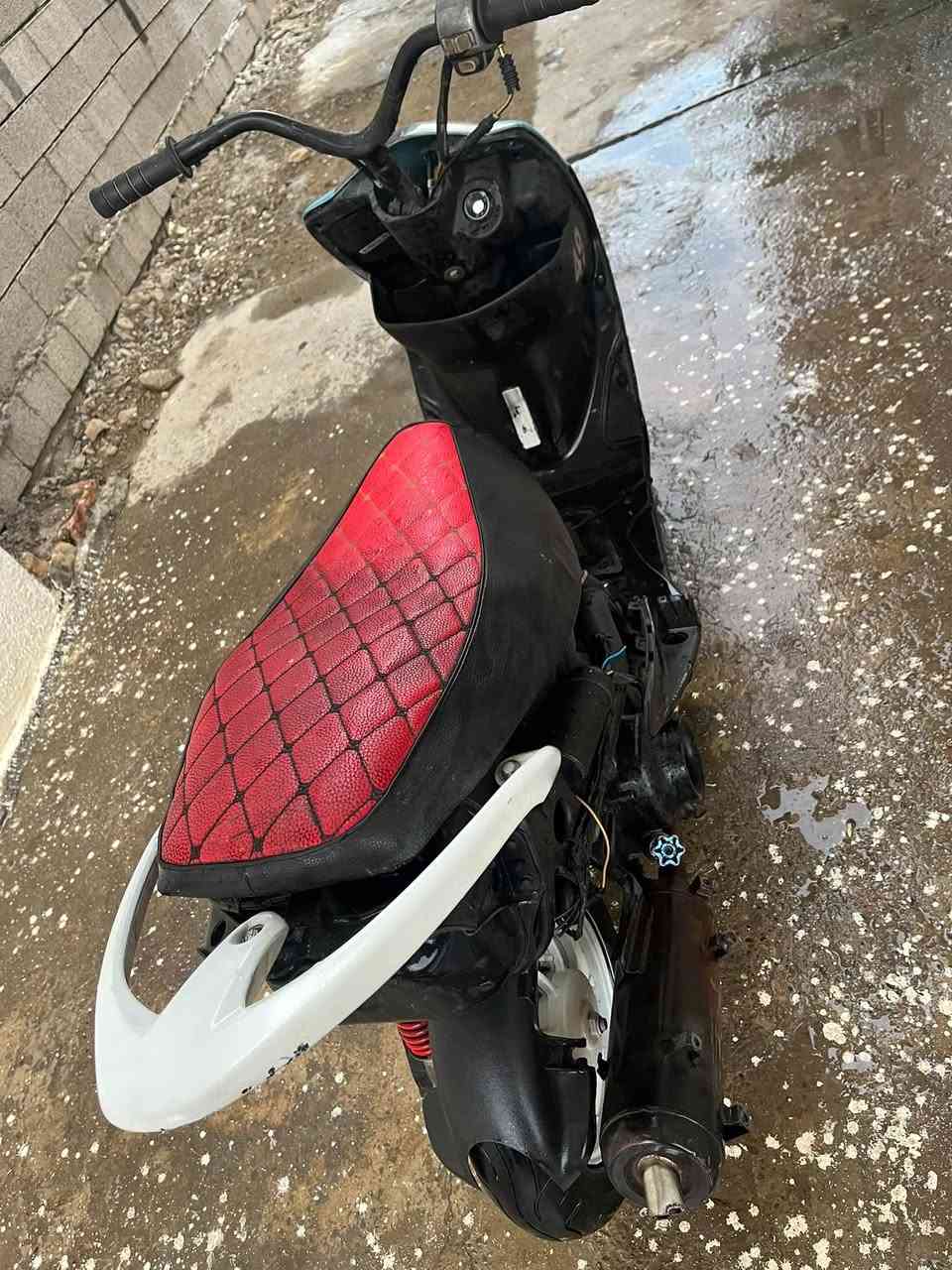 ماكس عدلة • ٥٥ • سلف