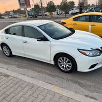 التيما • ٢٠١٧ • اربيل