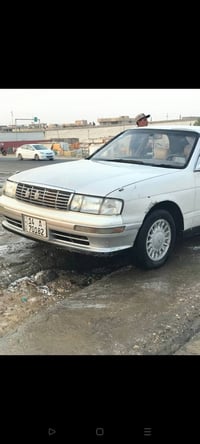 بطه • قير جديد • تبريد ثلج
