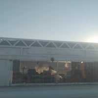 محجر • تسکام • درجة أولى