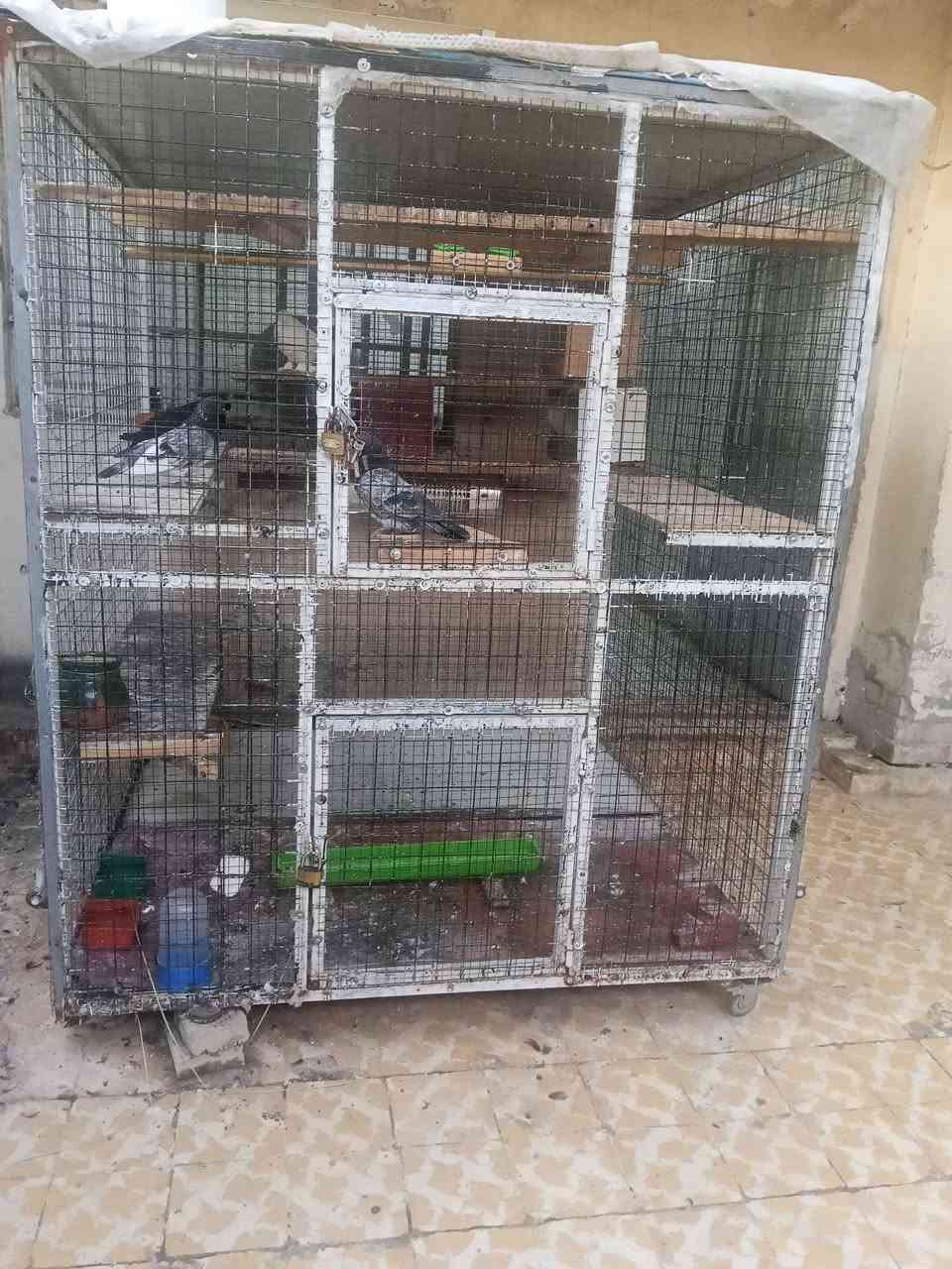 قفص حديد للبيع عرض متر ونص 
نزول واجهه متر ونص ارتفاع متر و 80 
دبل سيم  ناعم خشن يرهم كل شيء سقف ساندويش بنر موقع موصل حي عدن
سعر250 اتصال على الرقم 
*********** بي واتساب
