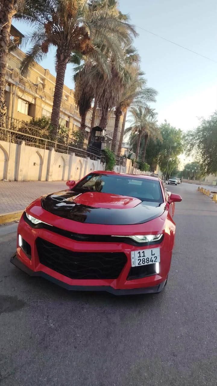 محرك ٦ سلندر rs محدث بجم zl1
حادثه جاملغ امامي وبنيد وجاملغ خلفي داير ماته 
مواصفات 
تشغيل عن بعد 
شاشه اعطال 
مثبت سرعه 
كراسي كهرباء 
شفتات سرعه
مري جوانب تحكم كهرباء 
جام اوتو 
سياره مبولشه جديد تايراته نضاف 
تخم بلك اصلي gm 
نوزلات نضيفه 
ماشيه 60mi
عارضه 106وبيه مجال بسيط 
وبل العراق بيه جاملغ خلفي وصبغ اشويه بلصندوك وجاملغ امامي صفحه سايق اثر شخوط 
 ابيعلك حزام علمود لتكلي هاي مشخوطه وسياره باسمي رقم وهزه جديد مكاني بغداد الاعظميه ***********
