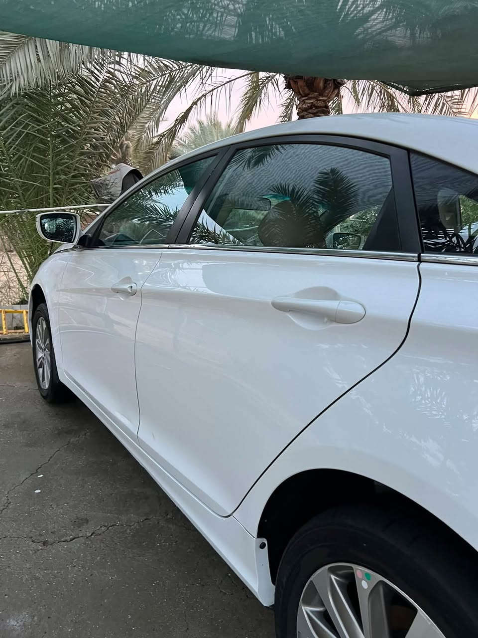 سوناتا شكل ١٤ • ٢٠١٣ • رقم بغداد