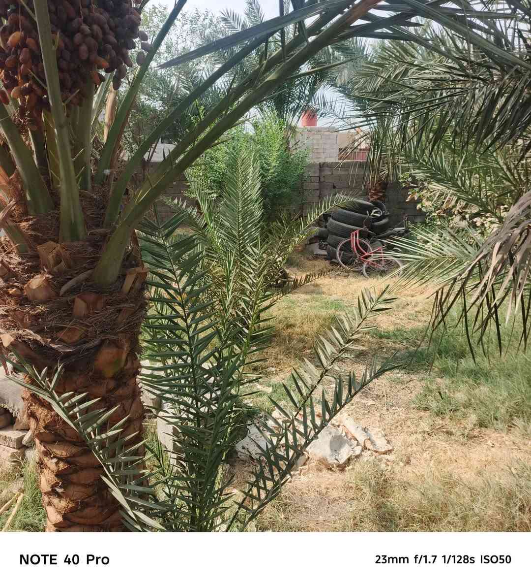 ٦ بيوت • أرض ومعاهن • قرب المطار