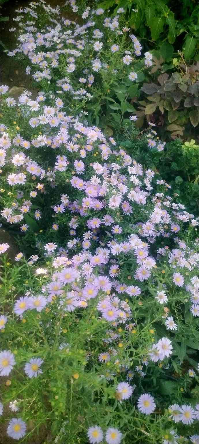 وهاي وجبتنا الجديدة❤️🌷🌹 
  بالصور والأسعار راح انشرها الكم حتة لتعبون🌺💓💮 
 فقط اللي عليكم تراسلونا وتحجزون🌻🌻 
او تزورونا بموقعنا💐🌹🌺 
خانقين بختياري الثانيا نهاية شارع العصائب واسواق صالح🌹💐🌹💐
 حمود وعدنا توصيل🚕🚕🚕🚕
داخل خانقين وجلولاء والسعدية راسلونا وتدللون ❤️💓❤️💓
