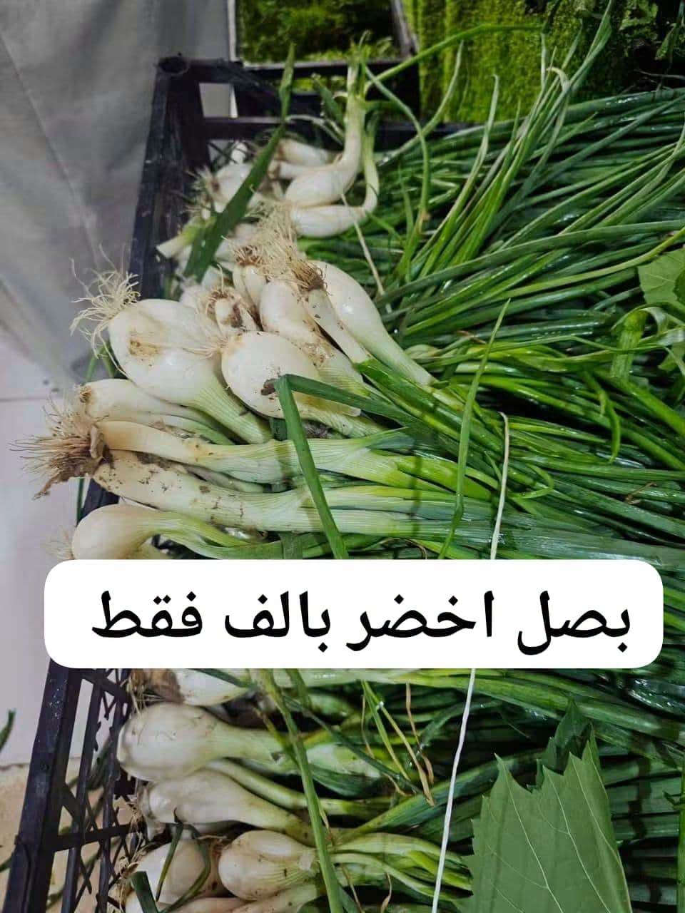 فواكه وخضروات • توصيل يومي • خانقين امام عباس