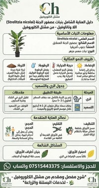مشتل الكلوروفيل • عصفور الجنة • حجم كبير