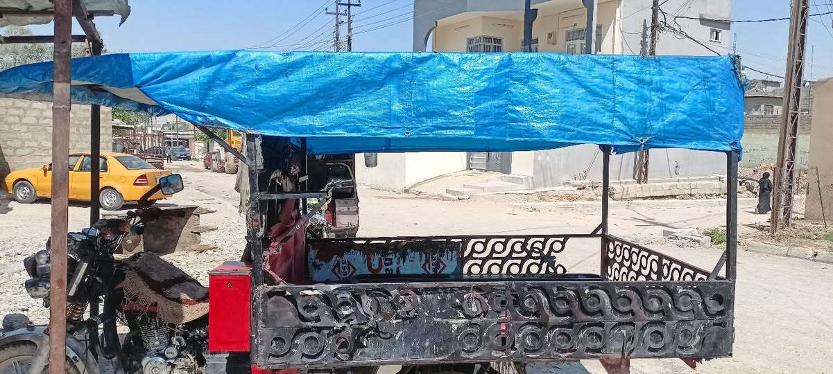 محجل للبيع مال مسواك كامل ***********

