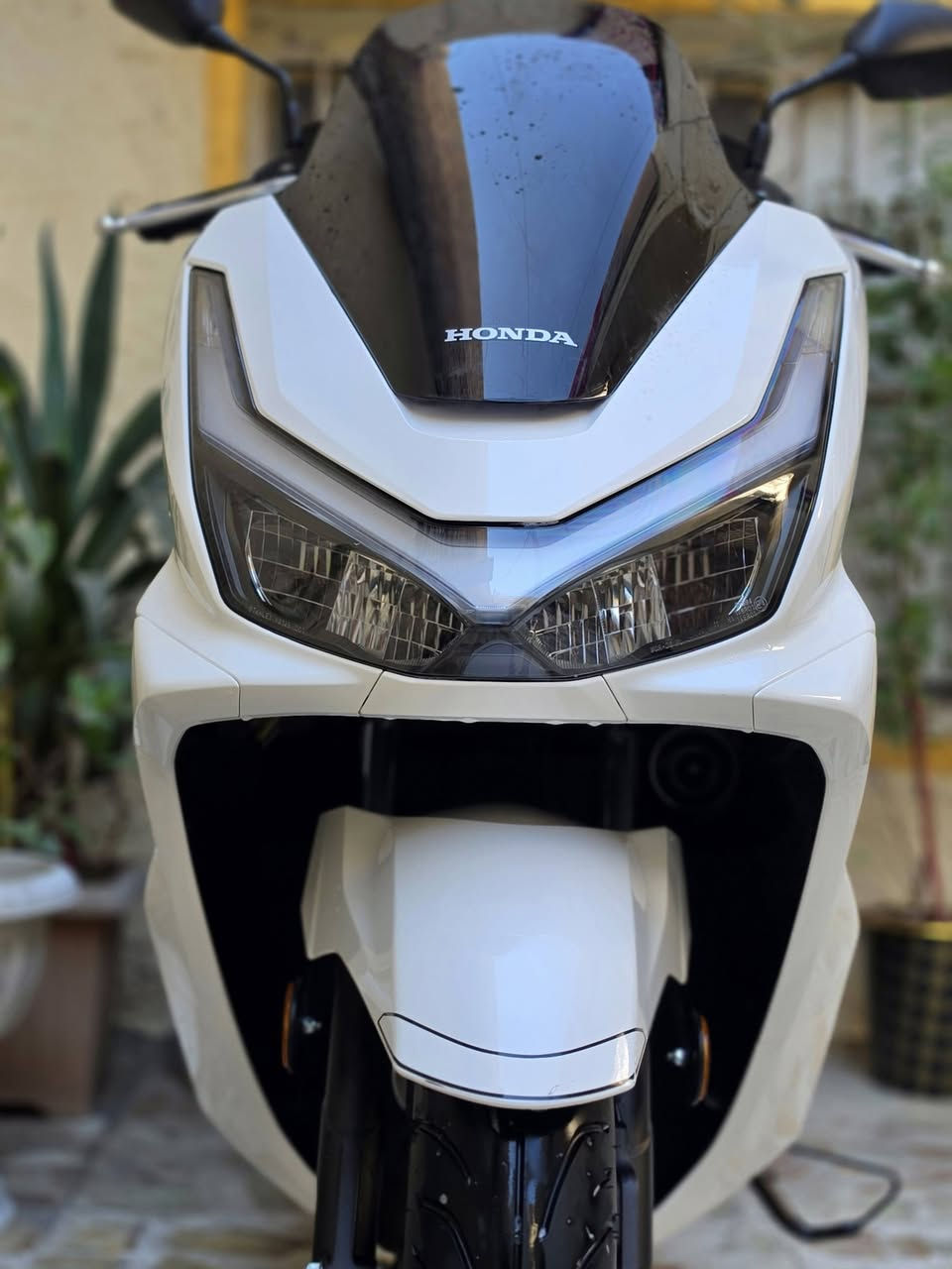PCX جيل خامس • ماشيه ٣٠٠٠ • درع تايوان