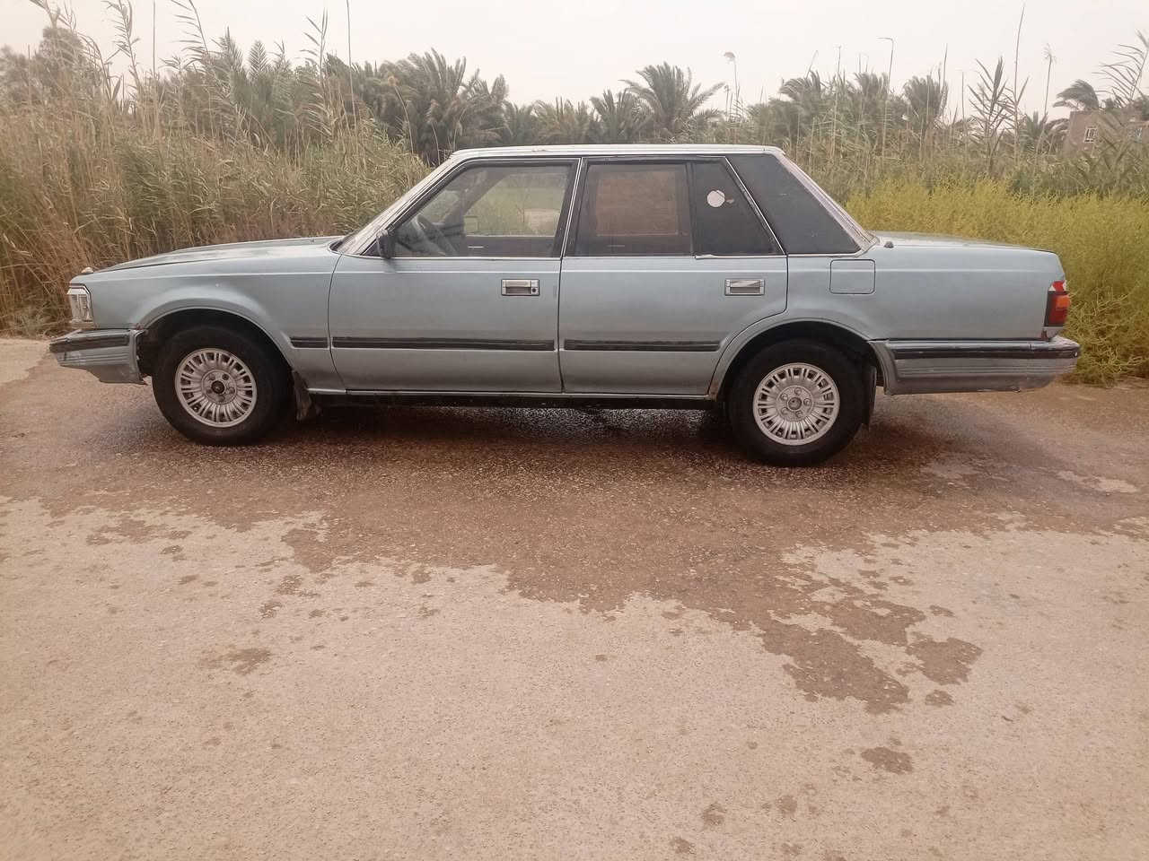 سلام عليكم سوبر البيع موديل ٨٥ مكينه وكير شرط اثنين ونص ديلكو دواخل جديده تبريد شغال مكان السماوة المجد السعر ٣٥ وبيهه مجال      رقم ***********
