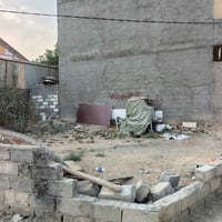 الحر الصغير • سند ٢٥ • ١٠٠م