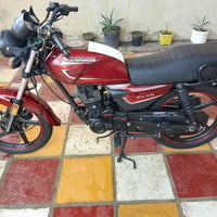 شاينك • ٢٠٢٦ • كفاله