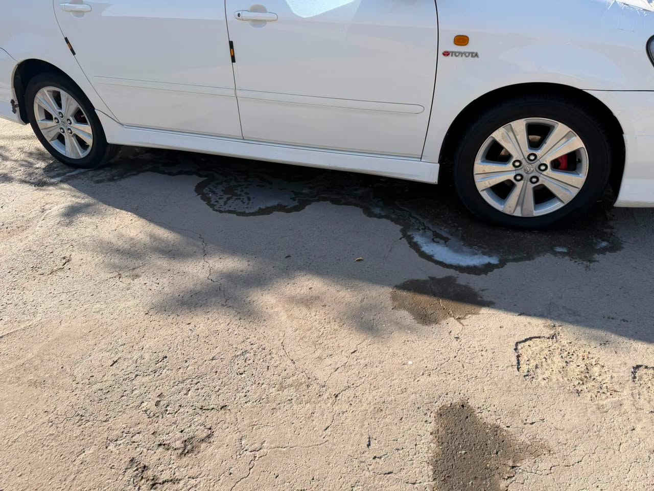 للبيع ويل فراشه كامل كباته بلادية ويل نظيف تايرات نظاف
***********. ***********
