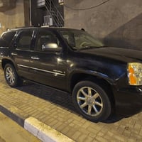 يوكن دنالي • ٢٠٠٩ • بصره
