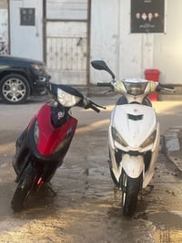 البيضه ماكس • ٢٠٢٠ • العدله