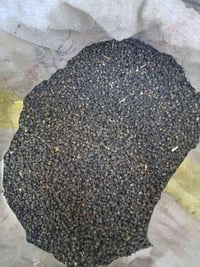 بذور بانيه • درجة • واتساب