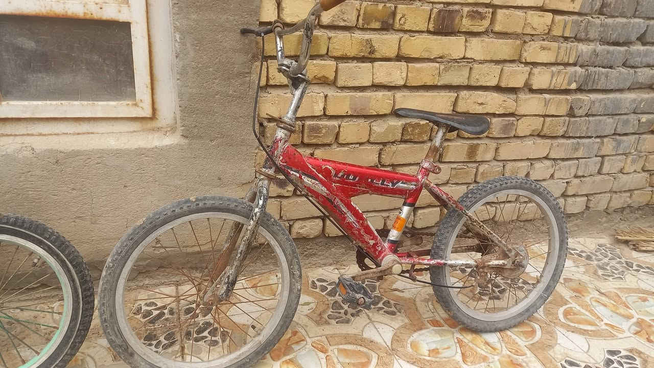 بايسكل أطفال • سوق الشيوخ • عدد ٢