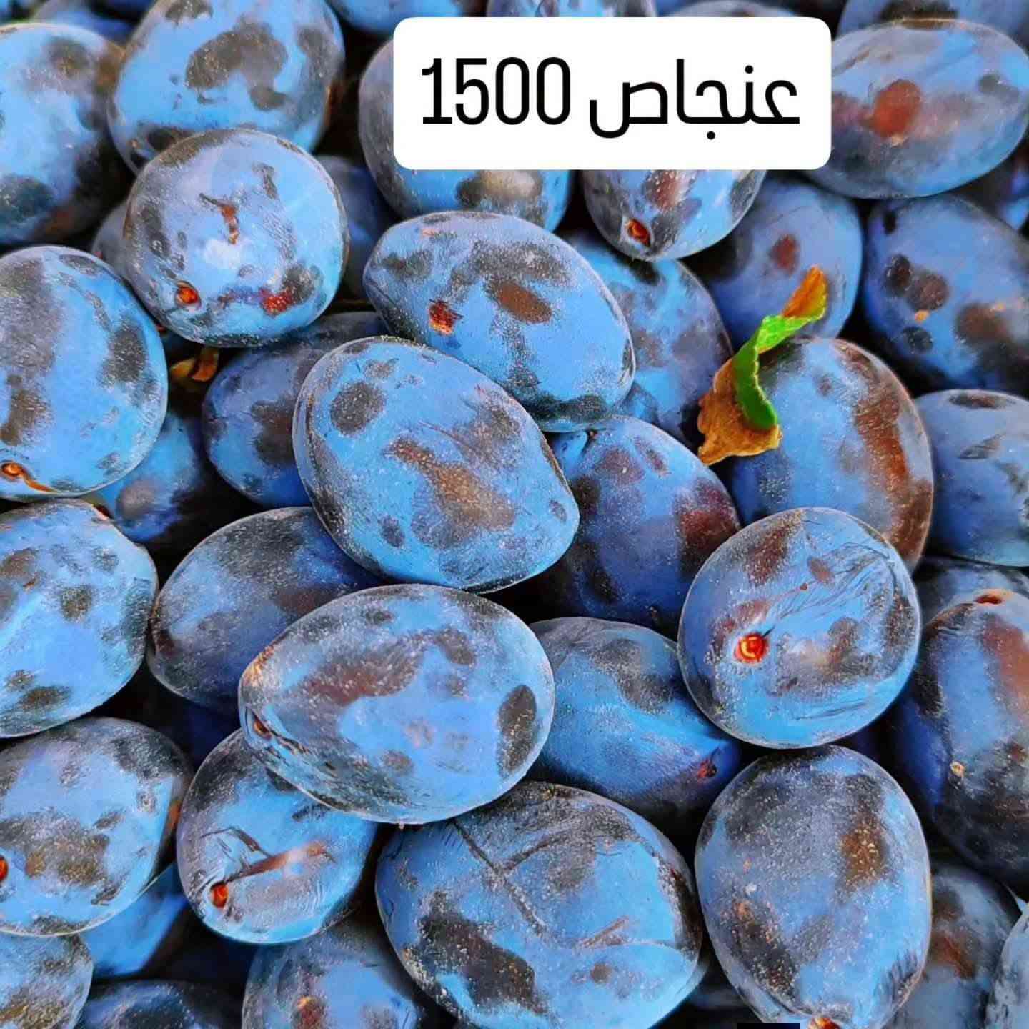 فواكه وخضار • رمان سوري • خس