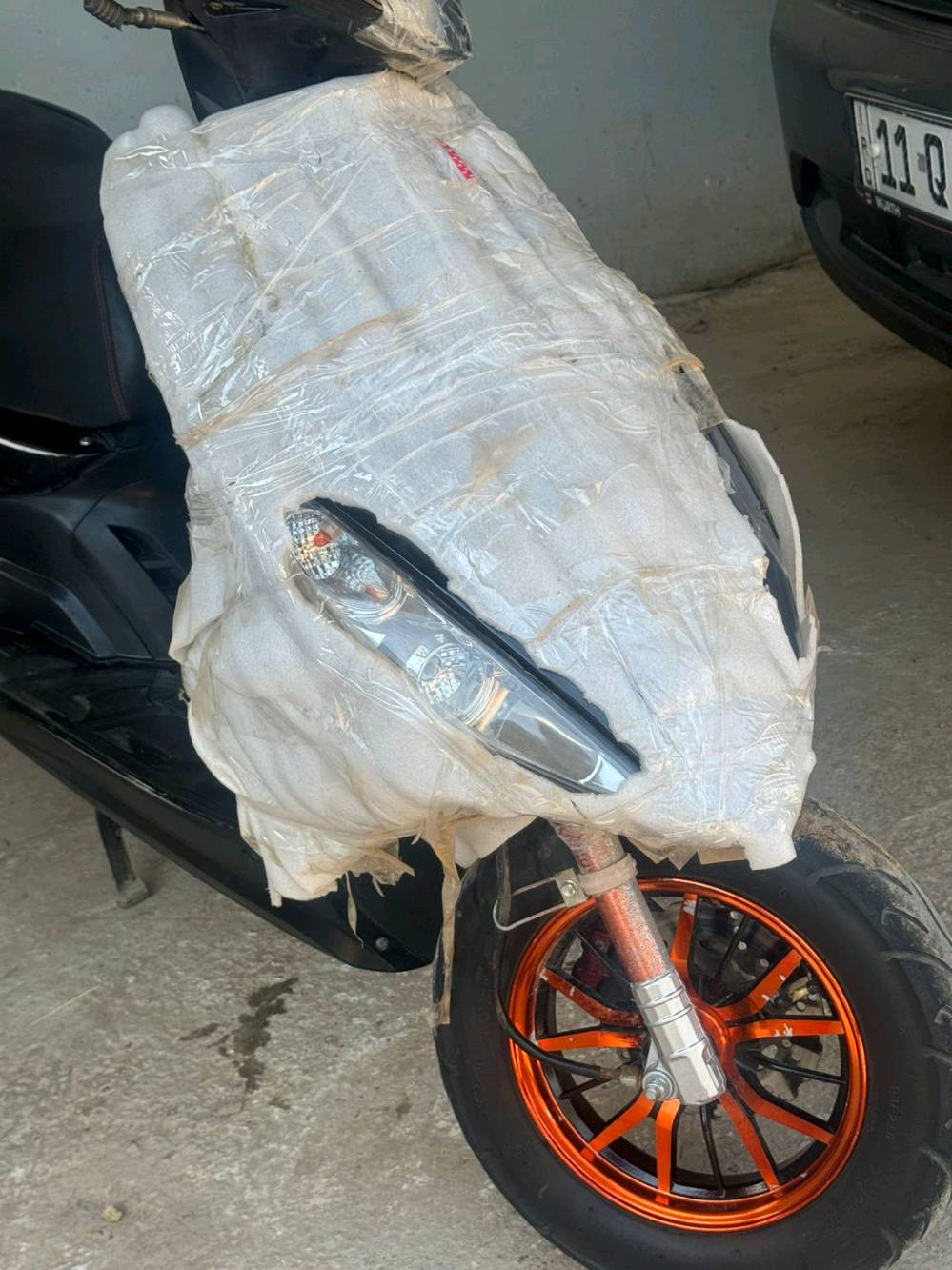 ماكس ثعلب • للبيع • الحلة