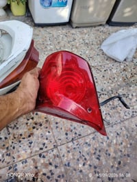 بك لايت • ثعلب • نضيف كلش