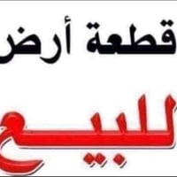 بل 51 ركن • شارع المدرسه الغدير • ٢٧١م