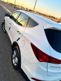 سنتافيا • ٢٠١٧ • وارد امريكي