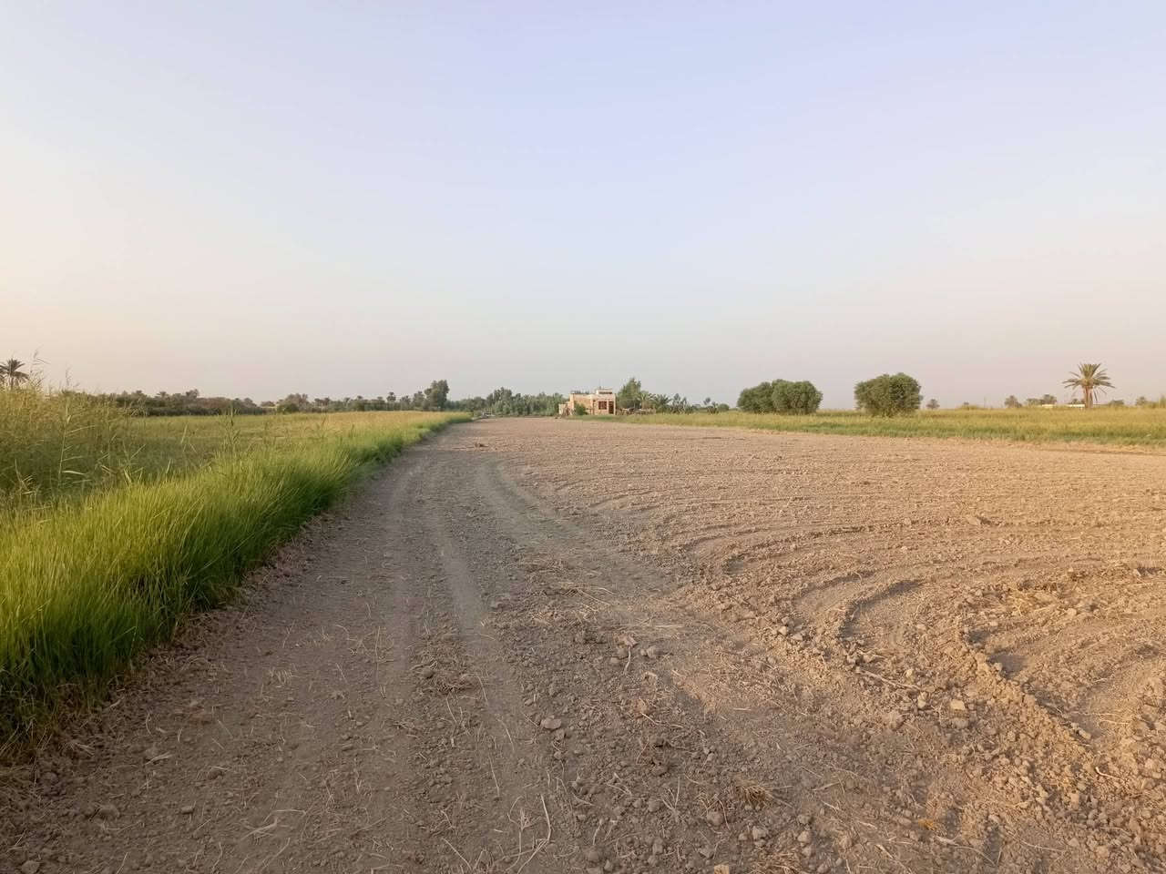 ارض زراعيه • شط الديوانيه • طابو ٢٥سنة