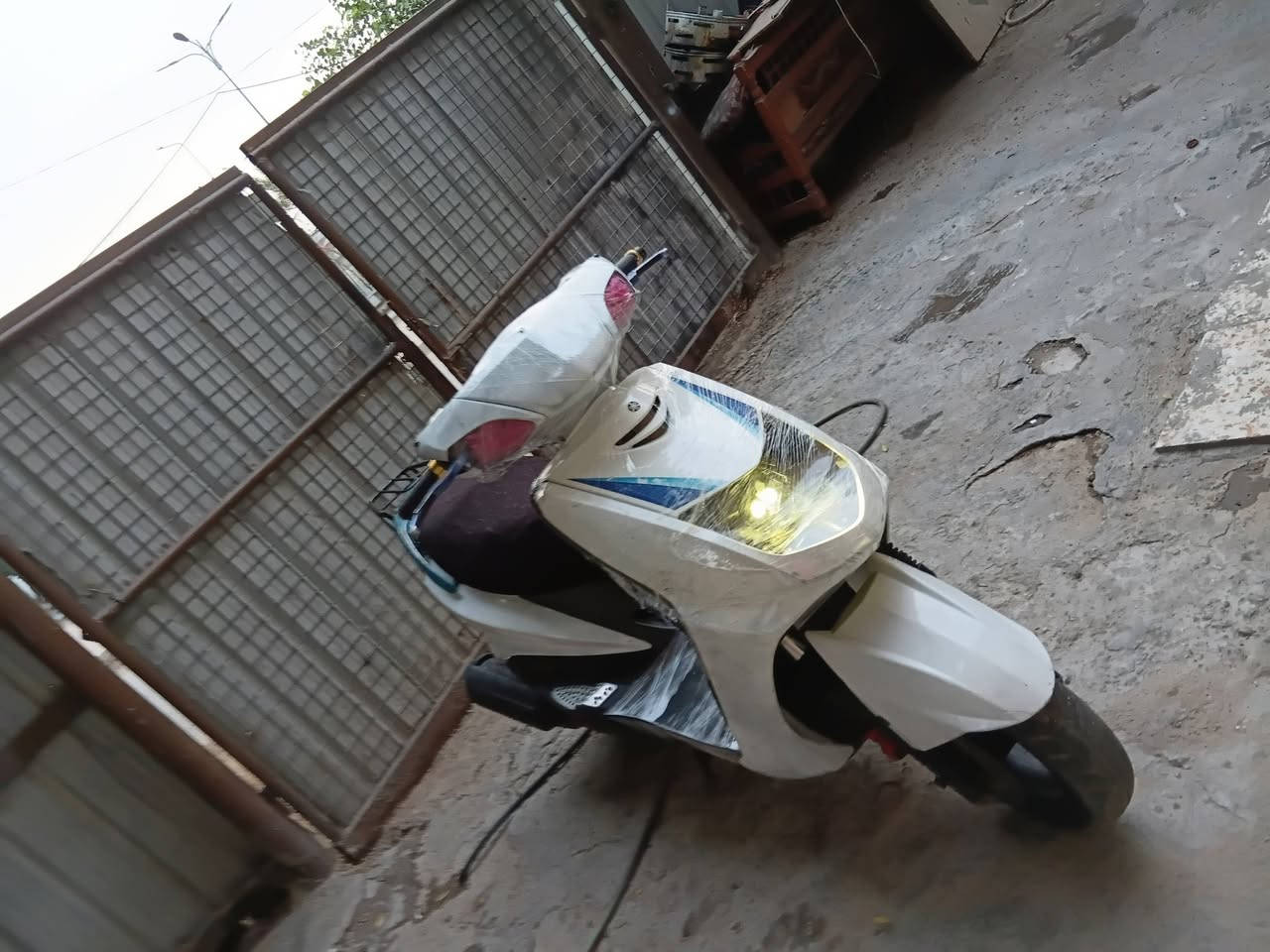 سكنس • ياباني • سلف وهندر