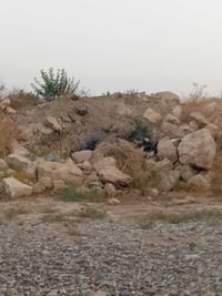 حجر • للبيع • حديقة