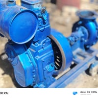 ماطور هندي • ابو سته • ابو اربعة