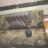 طقم كنبات • نظيف • ٢ كبار ٣ صغار