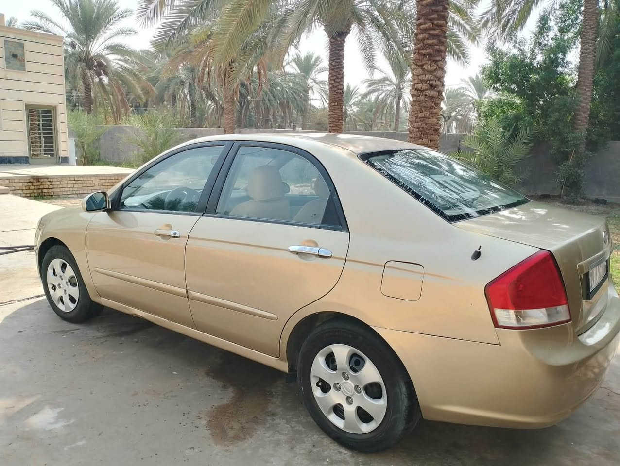 سبكترا • ٢٠٠٧ • صبغ
