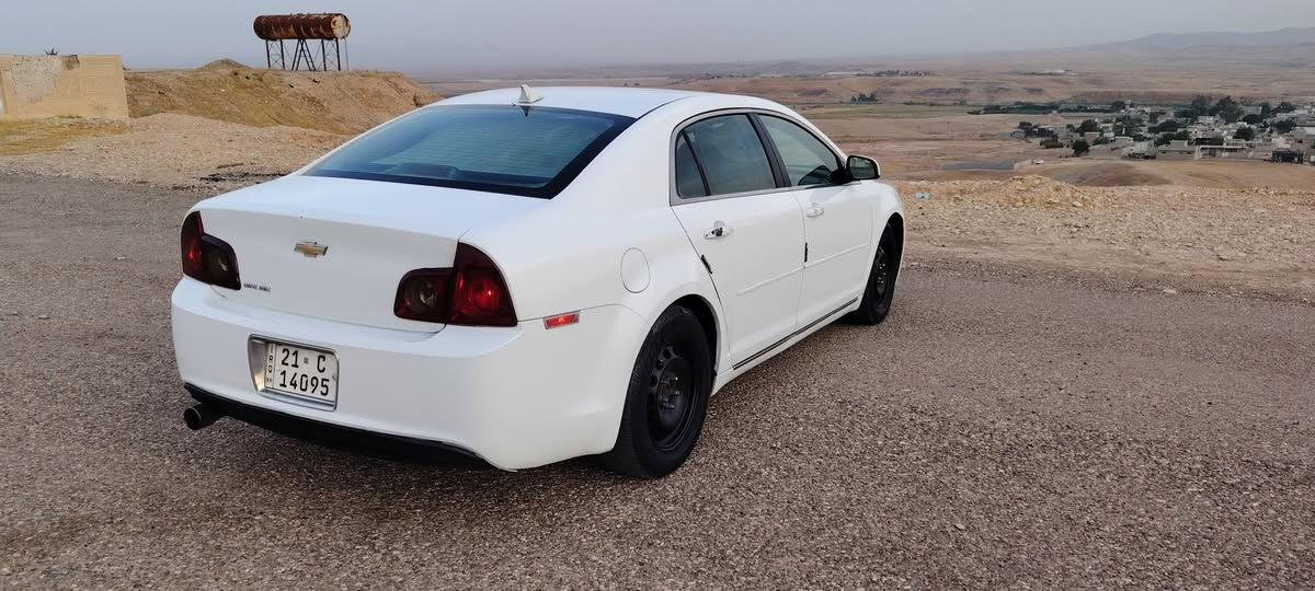 خليجي • ٢٠١١ • قطعة صبغ