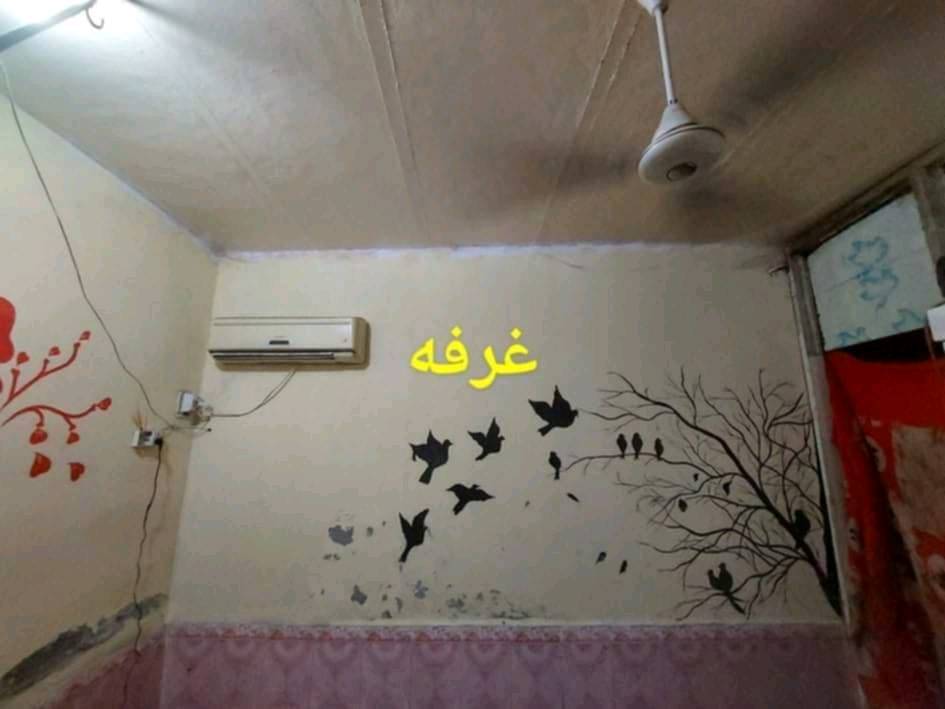 البصرة العويجه • ٣٦٠م • طابو زراعي