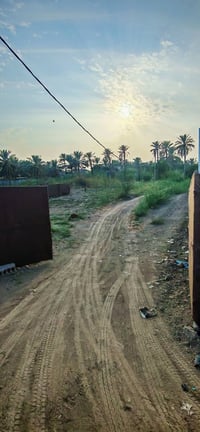 المسيب • ١٢٥٠م • طابو زراعي