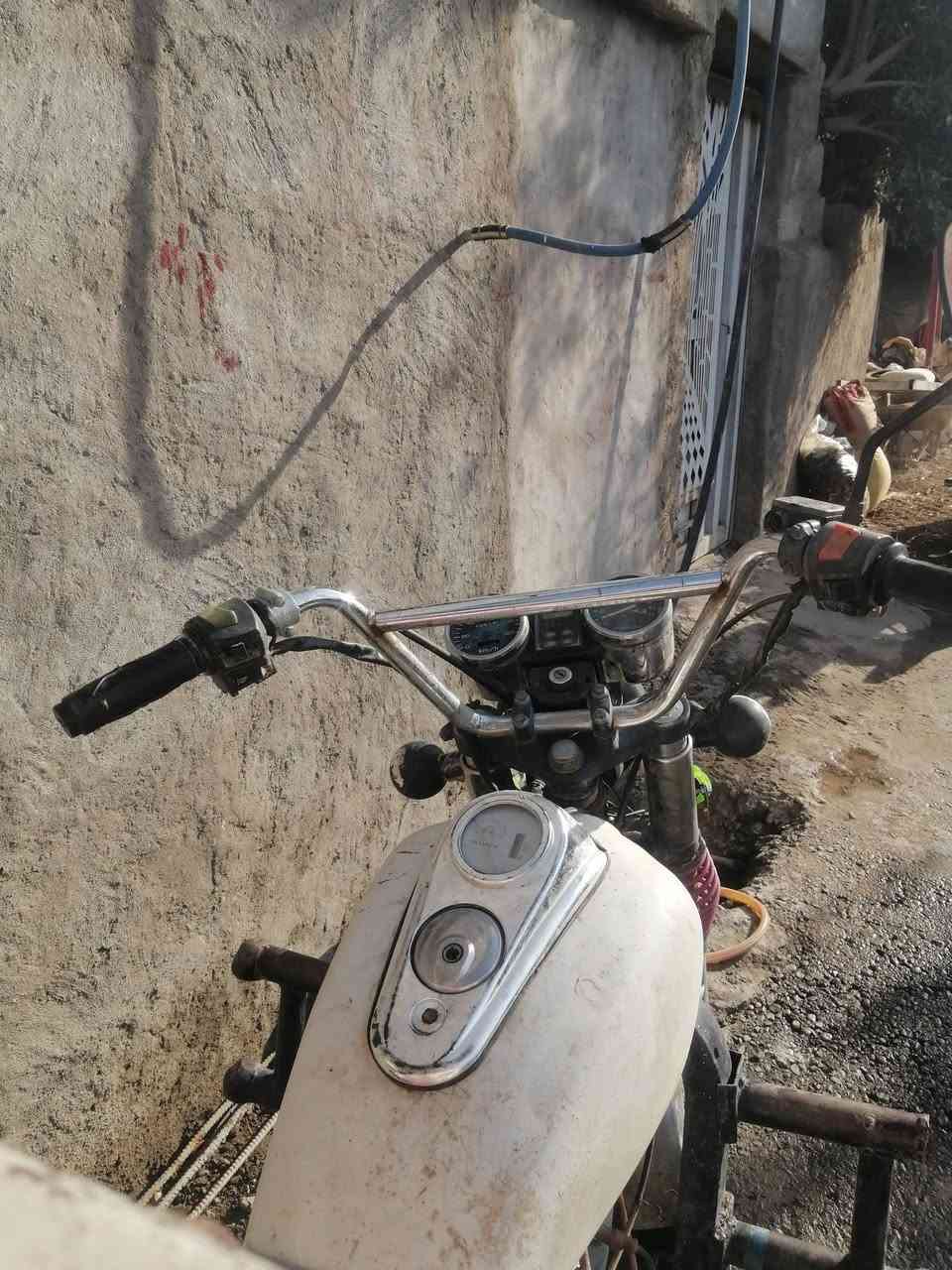 ستوته • شغاله • ٢٠٢١