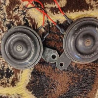 هورن سيدان • فيشتين نثي وفحل • بصرة