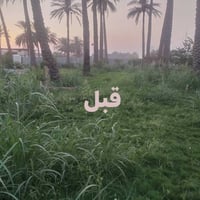 تنسيق حدائق • فسائل نخيل • تجهيز مزارع