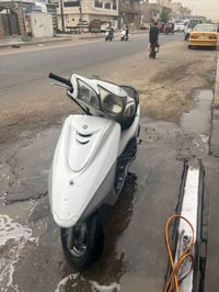 بغبغاء • جديده • مدينه الصدر
