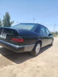 دب ٩١ • ١٩٩١ • كربلاء