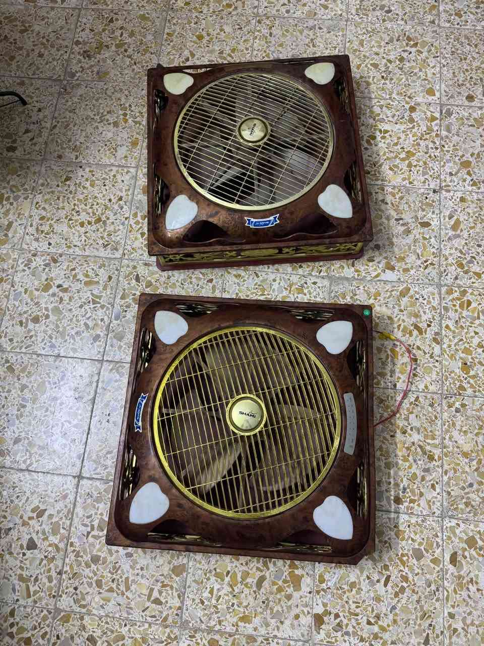 بنكات سقوف • بايسكل ولادي • تكريت حي الزهور