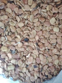 باجلة • للبيع • اليوسيفية