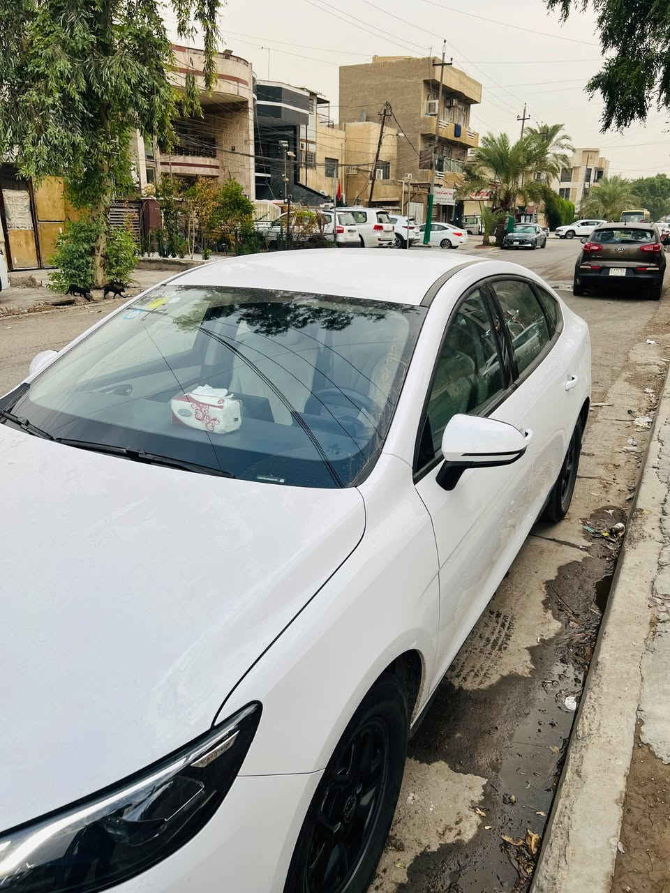 بي واي دي سيل 05 • ٢٠٢٥ • ٢٤٥٠٠ كم