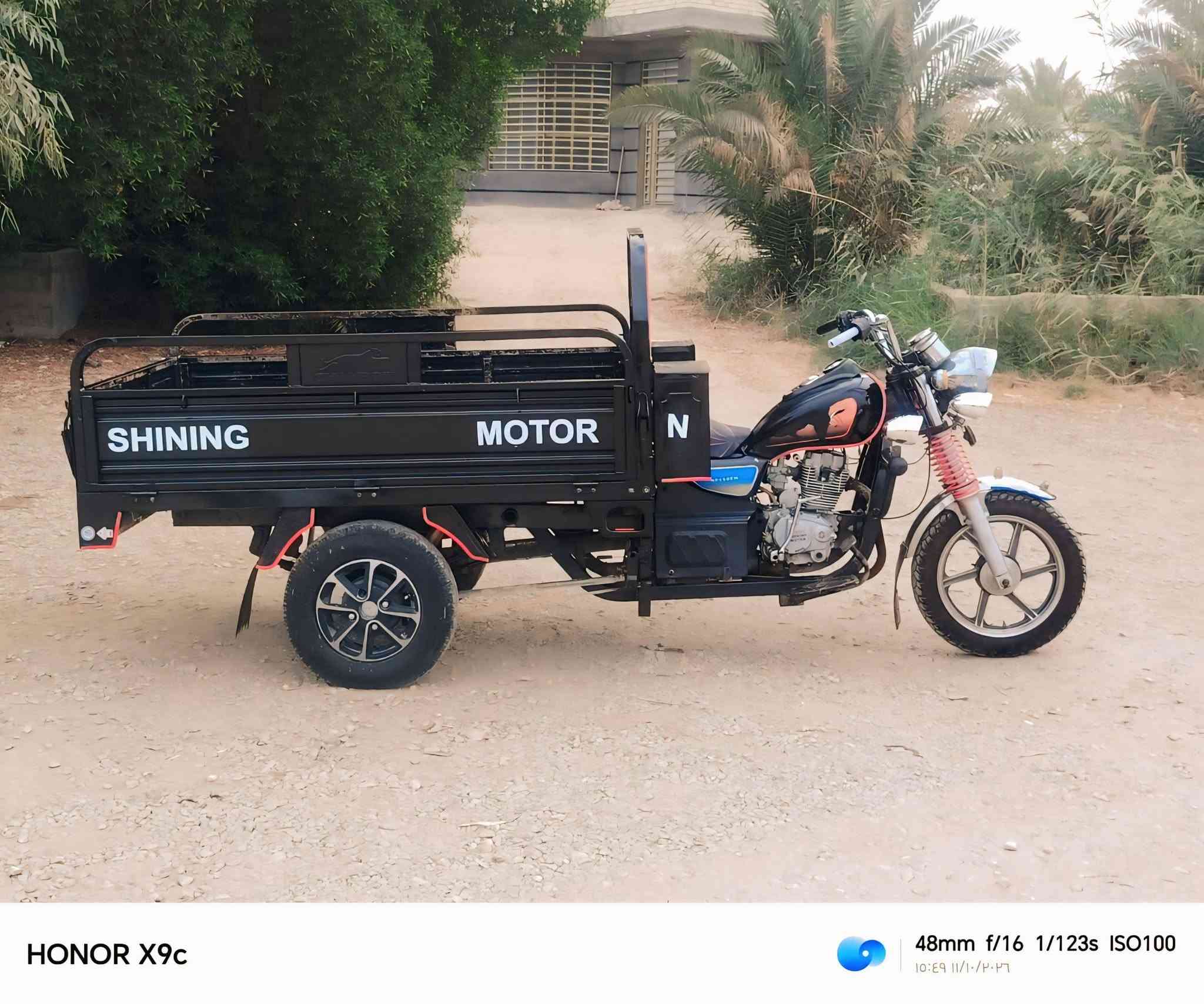 ستوته • فحل • ٢٠٢٢