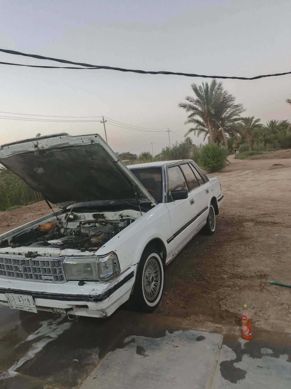 يا الله السلام عليكم سياره سوبر ٨٥ سياره مكفولة كفالة عامه من النقل جذه والصوليات والضربة القويه دواخل جديده محرك وكير وعقل خير من الله محرك بطه اثنين ونص سياره حلوه مراوس ب تيكو واليريد يشتري يتصل وبيك خير وتدلل للستفسار ***********
